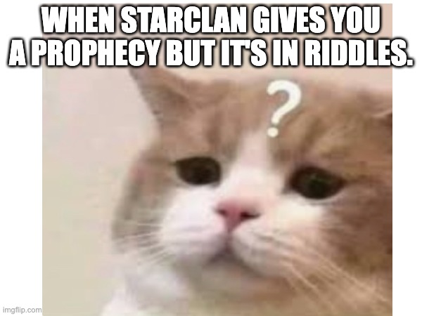 StarClan prophecies be like | WHEN STARCLAN GIVES YOU A PROPHECY BUT IT'S IN RIDDLES. | image tagged in cat,confused,warrior cats | made w/ Imgflip meme maker