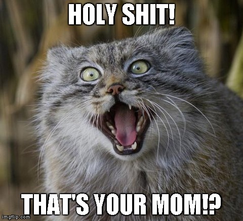 HOLY SHIT! THAT'S YOUR MOM!? | image tagged in freaked out cat | made w/ Imgflip meme maker