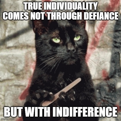 True Individuality | TRUE INDIVIDUALITY COMES NOT THROUGH DEFIANCE; BUT WITH INDIFFERENCE | image tagged in indifferent cat | made w/ Imgflip meme maker
