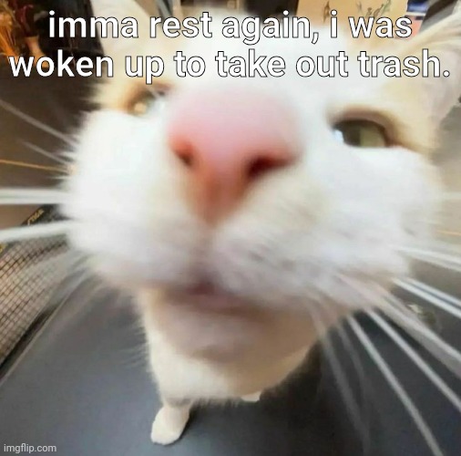 blehh cat | imma rest again, i was woken up to take out trash. | image tagged in blehh cat | made w/ Imgflip meme maker