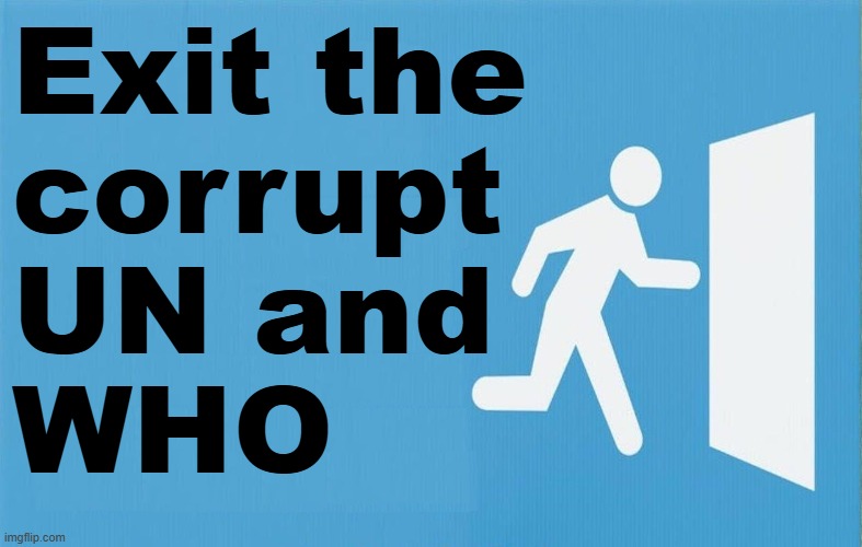 Exit the corrupt UN and WHO | Exit the
corrupt
UN and
WHO | image tagged in united nations,corruption,corrupt,government,government corruption,big government | made w/ Imgflip meme maker