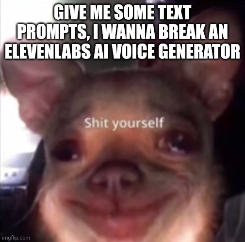 shit yourself dog | GIVE ME SOME TEXT PROMPTS, I WANNA BREAK AN ELEVENLABS AI VOICE GENERATOR | image tagged in shit yourself dog | made w/ Imgflip meme maker