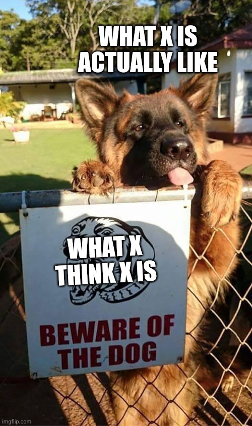 Beware Of The Dog | WHAT X IS ACTUALLY LIKE; WHAT X THINK X IS | image tagged in beware of the dog | made w/ Imgflip meme maker