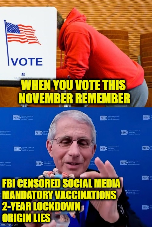 COVID lock down disaster | WHEN YOU VOTE THIS 
NOVEMBER REMEMBER; FBI CENSORED SOCIAL MEDIA
MANDATORY VACCINATIONS
2-YEAR LOCKDOWN
ORIGIN LIES | image tagged in covid-19,biden,fauci | made w/ Imgflip meme maker