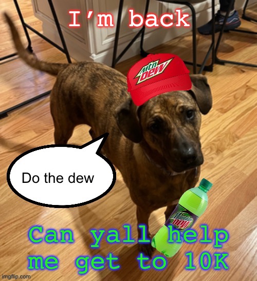 Do the dew | I’m back; Can yall help me get to 10K | image tagged in do the dew | made w/ Imgflip meme maker