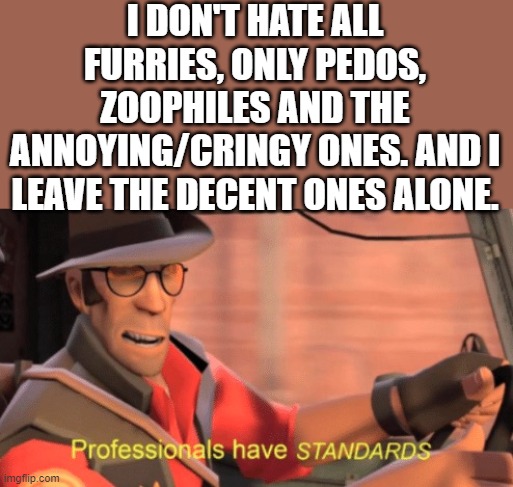 Professionals have standards | I DON'T HATE ALL FURRIES, ONLY PEDOS, ZOOPHILES AND THE ANNOYING/CRINGY ONES. AND I LEAVE THE DECENT ONES ALONE. | image tagged in professionals have standards | made w/ Imgflip meme maker