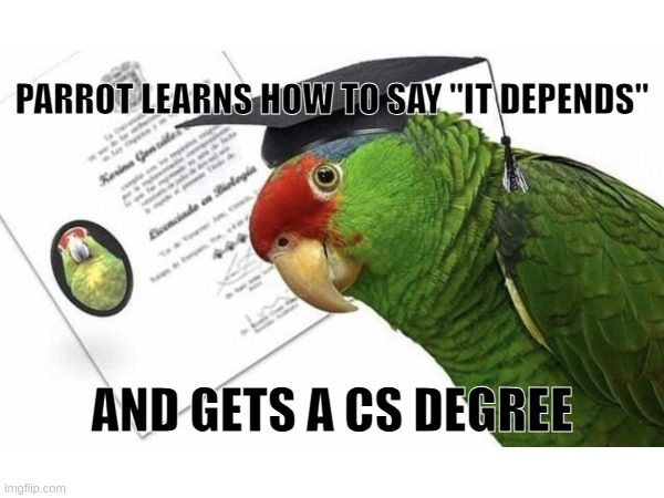 Parrot CS Degree "It Depends" | PARROT LEARNS HOW TO SAY "IT DEPENDS"; AND GETS A CS DEGREE | image tagged in parrot,computer science | made w/ Imgflip meme maker