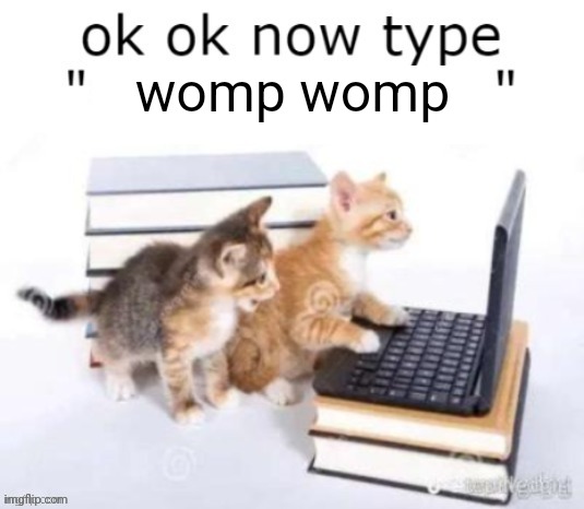 ok ok now type | womp womp | image tagged in ok ok now type | made w/ Imgflip meme maker