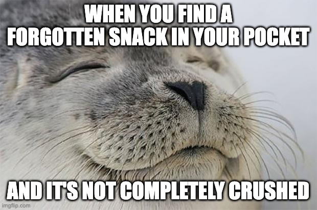 Satisfied Seal | WHEN YOU FIND A FORGOTTEN SNACK IN YOUR POCKET; AND IT'S NOT COMPLETELY CRUSHED | image tagged in memes,satisfied seal | made w/ Imgflip meme maker