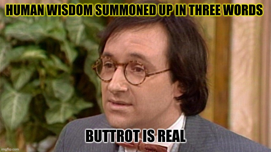 Buttrot is real | HUMAN WISDOM SUMMONED UP IN THREE WORDS; BUTTROT IS REAL | image tagged in funny memes | made w/ Imgflip meme maker
