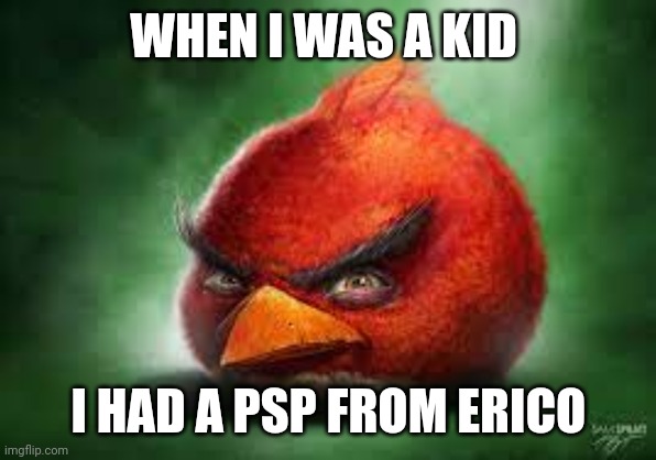 Realistic Red Angry Birds | WHEN I WAS A KID; I HAD A PSP FROM ERICO | image tagged in realistic red angry birds | made w/ Imgflip meme maker