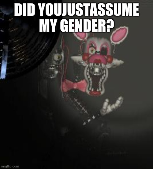 Mangle | DID YOUJUSTASSUME MY GENDER? | image tagged in mangle | made w/ Imgflip meme maker