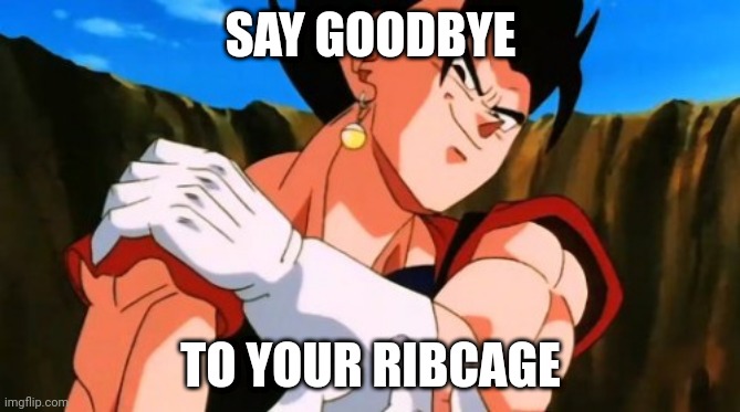 Bye ribcage- | SAY GOODBYE; TO YOUR RIBCAGE | image tagged in vegito | made w/ Imgflip meme maker