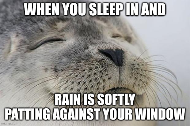 Rain | WHEN YOU SLEEP IN AND; RAIN IS SOFTLY PATTING AGAINST YOUR WINDOW | image tagged in memes,satisfied seal | made w/ Imgflip meme maker