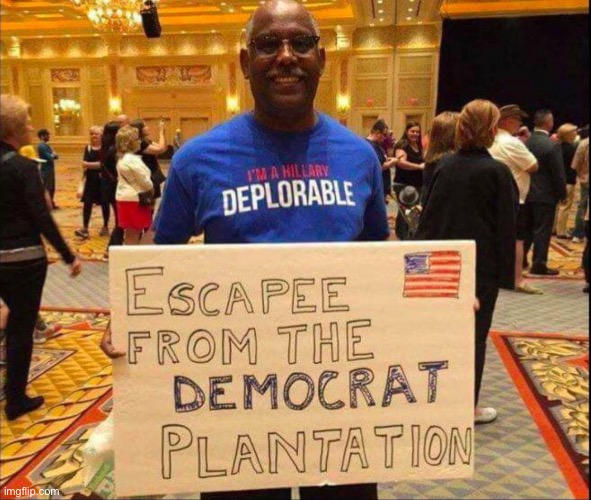 Black’s are getting it | image tagged in escape from the democrat plantation | made w/ Imgflip meme maker