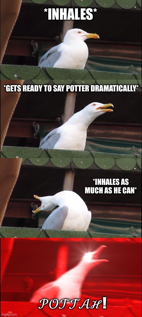 Draco Malfoy saying POTTAH | *INHALES*; *GETS READY TO SAY POTTER DRAMATICALLY*; *INHALES AS MUCH AS HE CAN*; 𝒫𝒪𝒯𝒯𝒜ℋ! | image tagged in memes,inhaling seagull | made w/ Imgflip meme maker