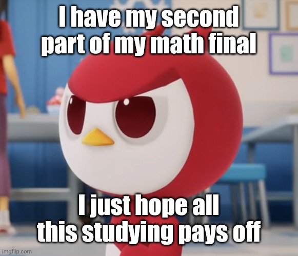 flugburgr | I have my second part of my math final; I just hope all this studying pays off | image tagged in flugburgr | made w/ Imgflip meme maker