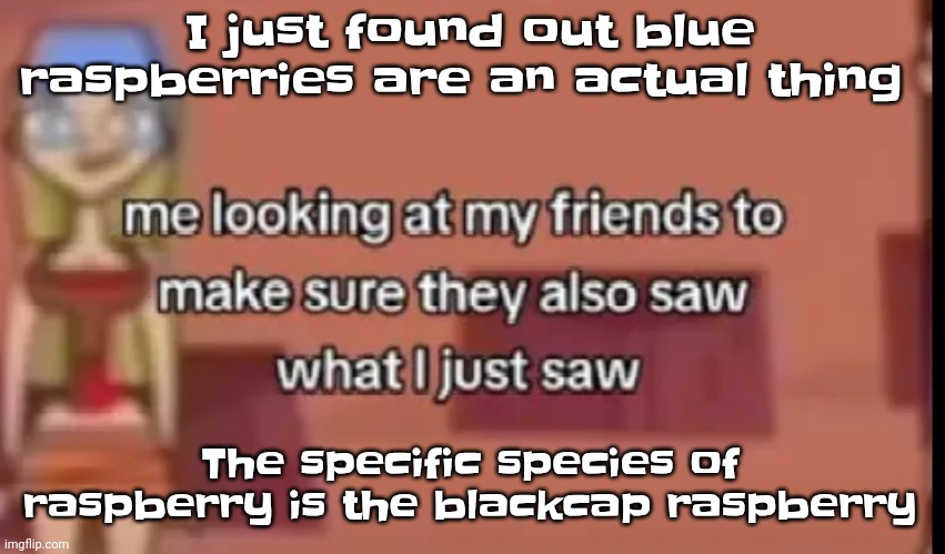 I'm shocked | I just found out blue raspberries are an actual thing; The specific species of raspberry is the blackcap raspberry | image tagged in scare | made w/ Imgflip meme maker