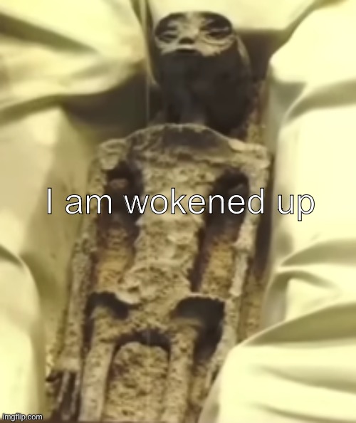 e | I am wokened up | image tagged in alien | made w/ Imgflip meme maker