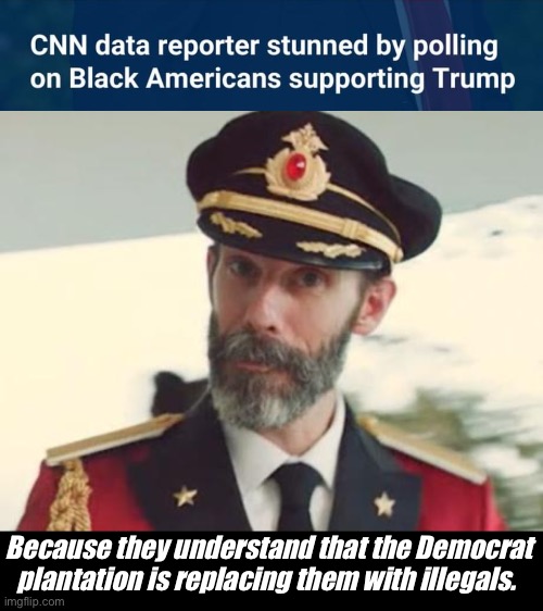 Democrats don’t care what shade of brown the slaves are | Because they understand that the Democrat plantation is replacing them with illegals. | image tagged in captain obvious,politics lol,memes,government corruption | made w/ Imgflip meme maker