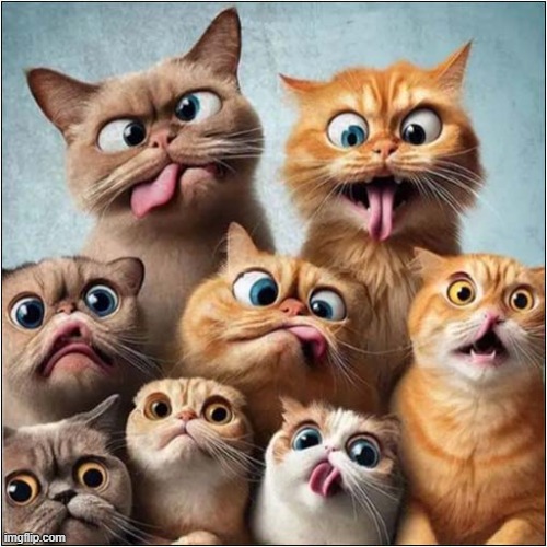 Every Group Photo You've Ever Tried To Take ! | image tagged in cats,group,photo,spoilt | made w/ Imgflip meme maker