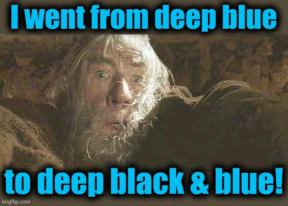 Gandalf Fly You Fools | I went from deep blue to deep black & blue! | image tagged in gandalf fly you fools | made w/ Imgflip meme maker