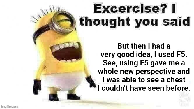 excercise? i thought you said | But then I had a very good idea, I used F5. See, using F5 gave me a whole new perspective and I was able to see a chest I couldn't have seen before. | image tagged in excercise i thought you said | made w/ Imgflip meme maker