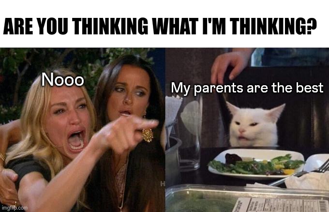 Inception | ARE YOU THINKING WHAT I'M THINKING? My parents are the best; Nooo | image tagged in memes,woman yelling at cat | made w/ Imgflip meme maker