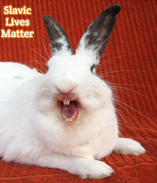 laughing rabbit | Slavic Lives Matter | image tagged in laughing rabbit,slavic | made w/ Imgflip meme maker