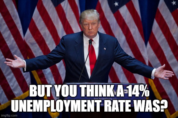 Donald Trump | BUT YOU THINK A 14% UNEMPLOYMENT RATE WAS? | image tagged in donald trump | made w/ Imgflip meme maker