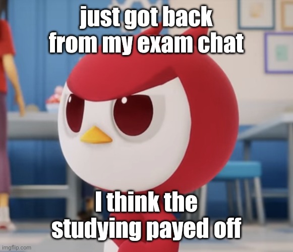 flugburgr | just got back from my exam chat; I think the studying payed off | image tagged in flugburgr | made w/ Imgflip meme maker