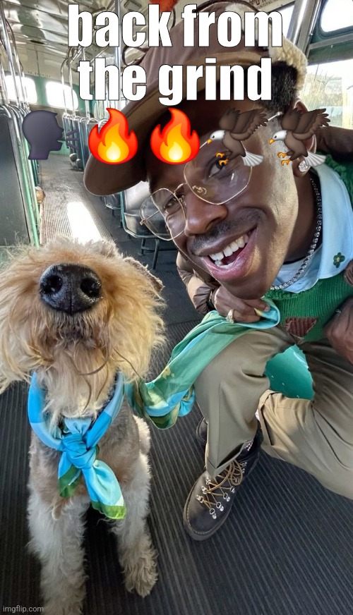 we getting less fat with this one!! | back from the grind 🗣🔥🔥🦅🦅 | image tagged in tyler dog | made w/ Imgflip meme maker