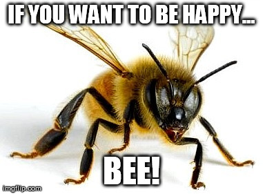 IF YOU WANT TO BE HAPPY... BEE! | made w/ Imgflip meme maker