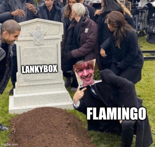 Flamingo | LANKYBOX; FLAMINGO | image tagged in grant gustin over grave | made w/ Imgflip meme maker