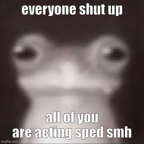 respectfully | everyone shut up; all of you are acting sped smh | image tagged in frogk | made w/ Imgflip meme maker