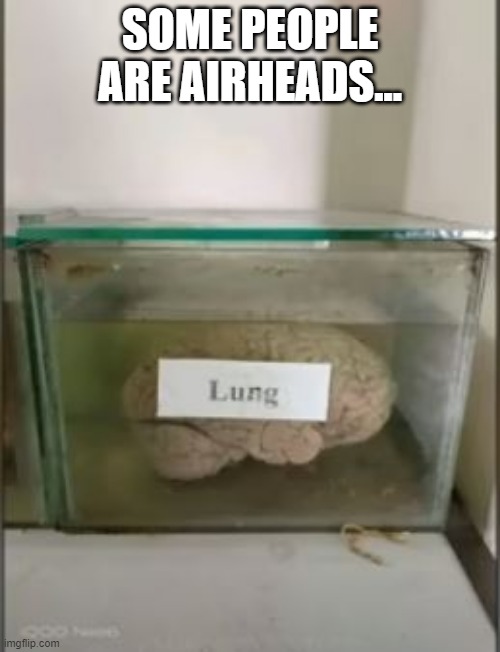 Lung | SOME PEOPLE ARE AIRHEADS... | image tagged in you had one job | made w/ Imgflip meme maker