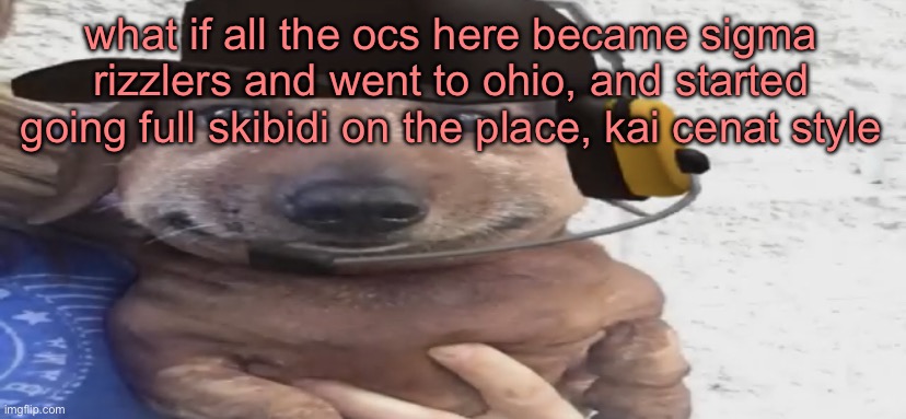 chucklenuts | what if all the ocs here became sigma rizzlers and went to ohio, and started going full skibidi on the place, kai cenat style | image tagged in chucklenuts | made w/ Imgflip meme maker