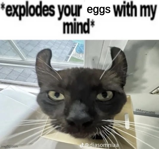 explodes your balls with my mind | eggs | image tagged in explodes your balls with my mind | made w/ Imgflip meme maker