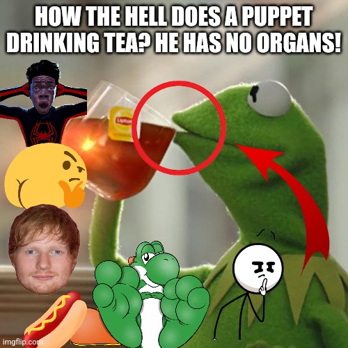 But That's None Of My Business Meme | HOW THE HELL DOES A PUPPET DRINKING TEA? HE HAS NO ORGANS! | image tagged in memes,but that's none of my business,kermit the frog | made w/ Imgflip meme maker