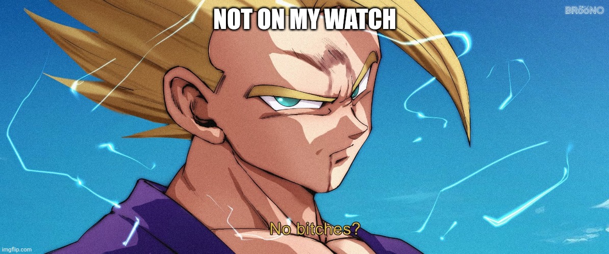 No bitches? | NOT ON MY WATCH | image tagged in no bitches | made w/ Imgflip meme maker
