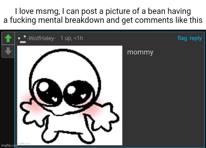 I love msmg, I can post a picture of a bean having a fucking mental breakdown and get comments like this | made w/ Imgflip meme maker