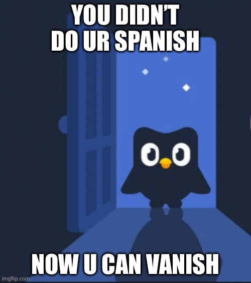 Duolingo bird | YOU DIDN’T DO UR SPANISH; NOW U CAN VANISH | image tagged in duolingo bird | made w/ Imgflip meme maker