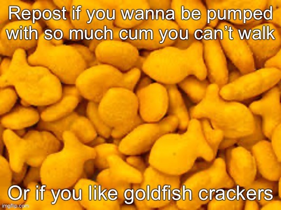 I honestly hate goldfish | image tagged in goldfish | made w/ Imgflip meme maker