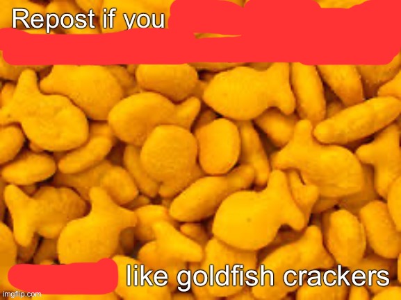 top part is lacking | image tagged in goldfish | made w/ Imgflip meme maker