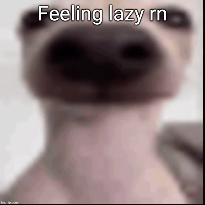 poopy | Feeling lazy rn | image tagged in poopy | made w/ Imgflip meme maker