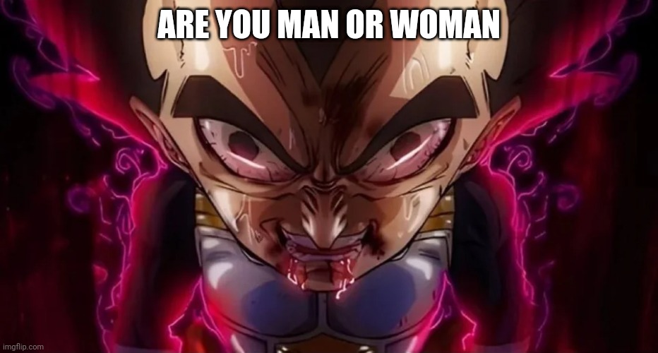 vegeta drool | ARE YOU MAN OR WOMAN | image tagged in vegeta drool | made w/ Imgflip meme maker
