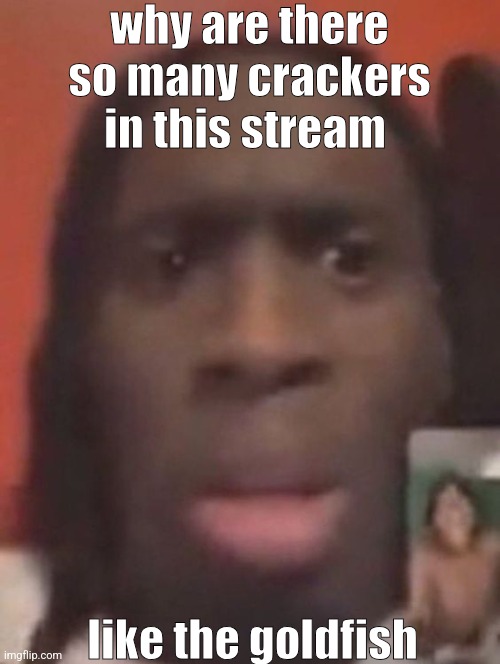 qhy | why are there so many crackers in this stream; like the goldfish | image tagged in qhy | made w/ Imgflip meme maker