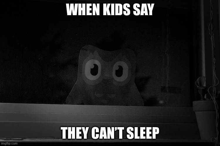 Dread duolingo owl | WHEN KIDS SAY; THEY CAN’T SLEEP | image tagged in dread duolingo owl | made w/ Imgflip meme maker