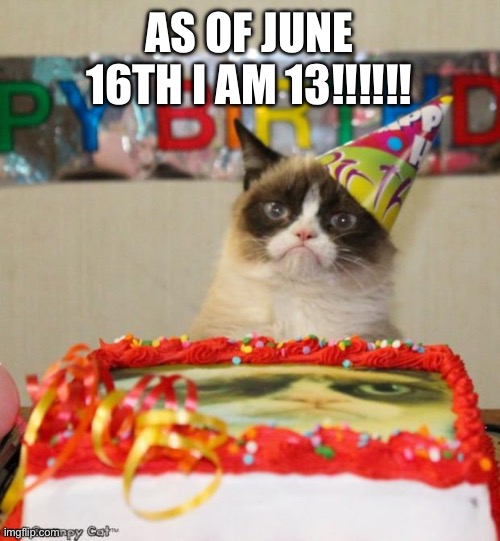 My birthday!!!! | AS OF JUNE 16TH I AM 13!!!!!! | image tagged in memes,grumpy cat birthday,grumpy cat | made w/ Imgflip meme maker