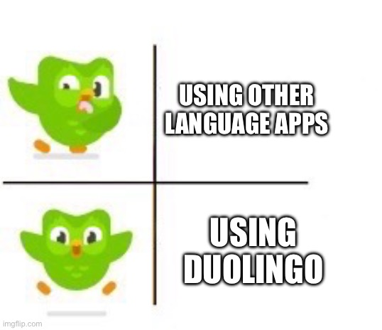 Duolingo | USING OTHER LANGUAGE APPS; USING DUOLINGO | image tagged in duolingo | made w/ Imgflip meme maker